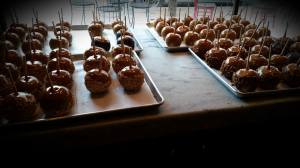 12096558_10154324578772907_3540756573474590738_n