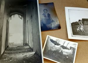 1610783_10154351400937907_8966168180624302499_n