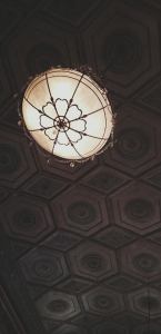 13393894_10154972074222907_6409100948764674997_n