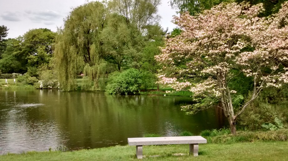 IMG_20160521_112728692_HDR