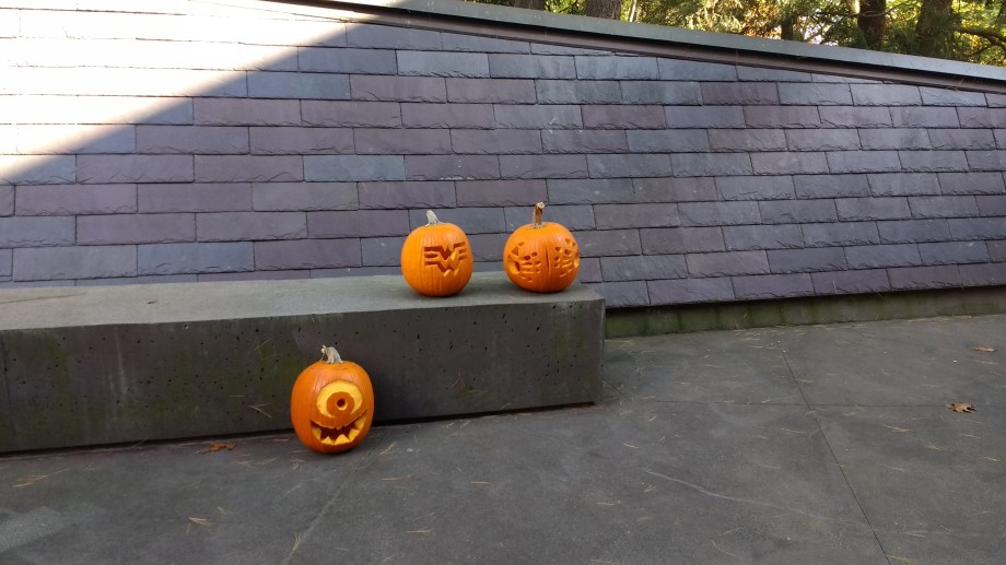 IMG_20171028_115119314_BURST000_COVER_TOP (1)